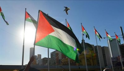 فلسطين تتهم مجلس الأمن بـ "الشلل" في تعامله مع إسرائيل