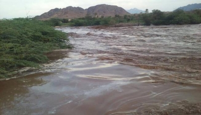 السيول تجرف مساحات زراعية في وادي زبيد بـ"الحديدة"