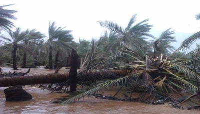 محافظ سقطرى: الجزيرة بدون مخزون تمويني للمواد الغذائية لمواجهة موسم الرياح