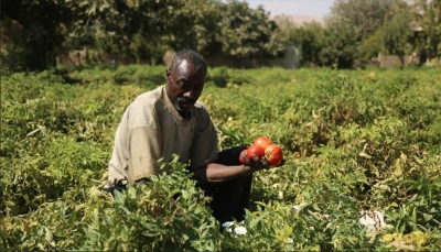 السودان: جهات تعمل على تخريب اقتصادنا عبر ترويج الشائعات