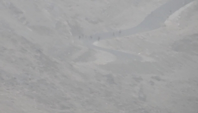 البيضاء: قوات الجيش تتقدم في عدد من المواقع بمديرية "الملاجم"