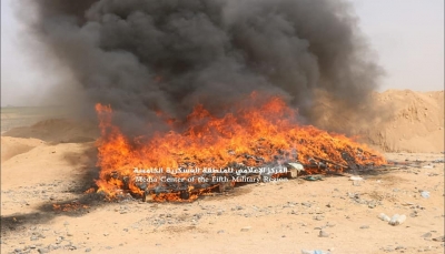 الجيش الوطني يتلف طن ونصف من مادة الحشيش في حجة