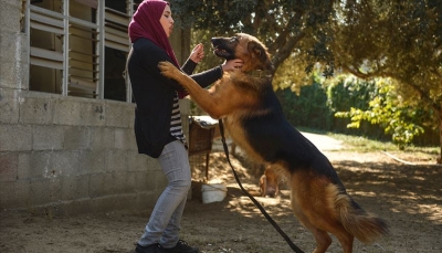 في غزة المحاصرة..أيادٍ ناعمة تروّض "شراسة" الكلاب
