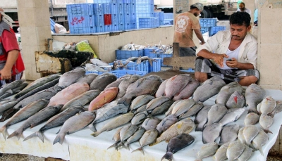 40 بالمائة نسبة انخفاض مستوى الإنتاج السمكي في سواحل "لحج"