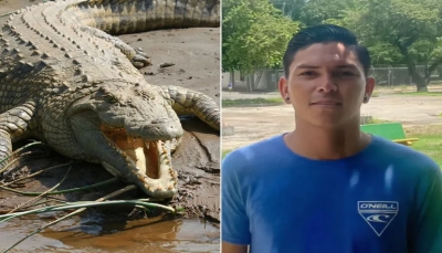 شاهد.. تمساح يقتل لاعبا لكرة القدم في كوستاريكا